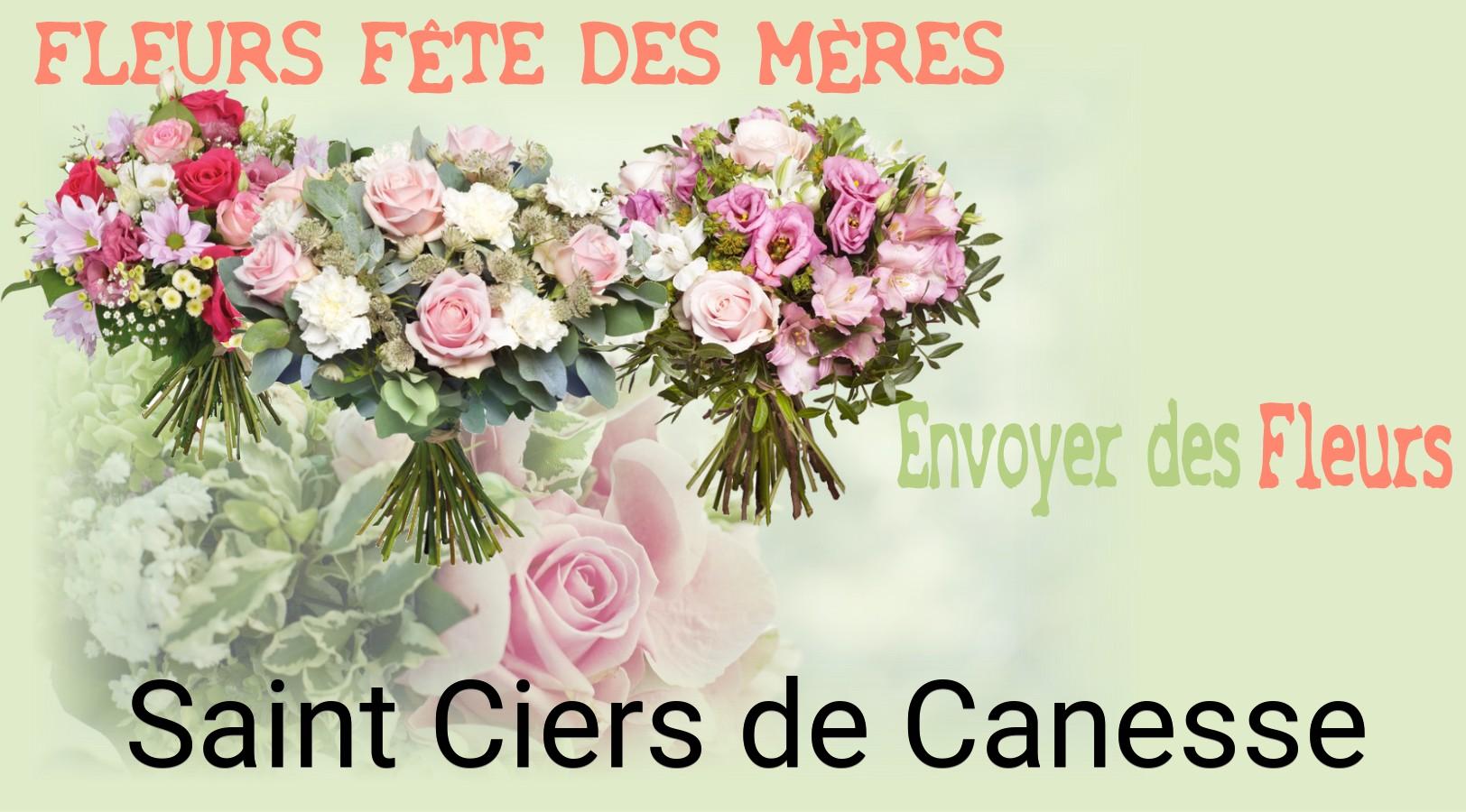 Bouquet de Fête des Mères livré à Saint-Ciers-de-Canesse